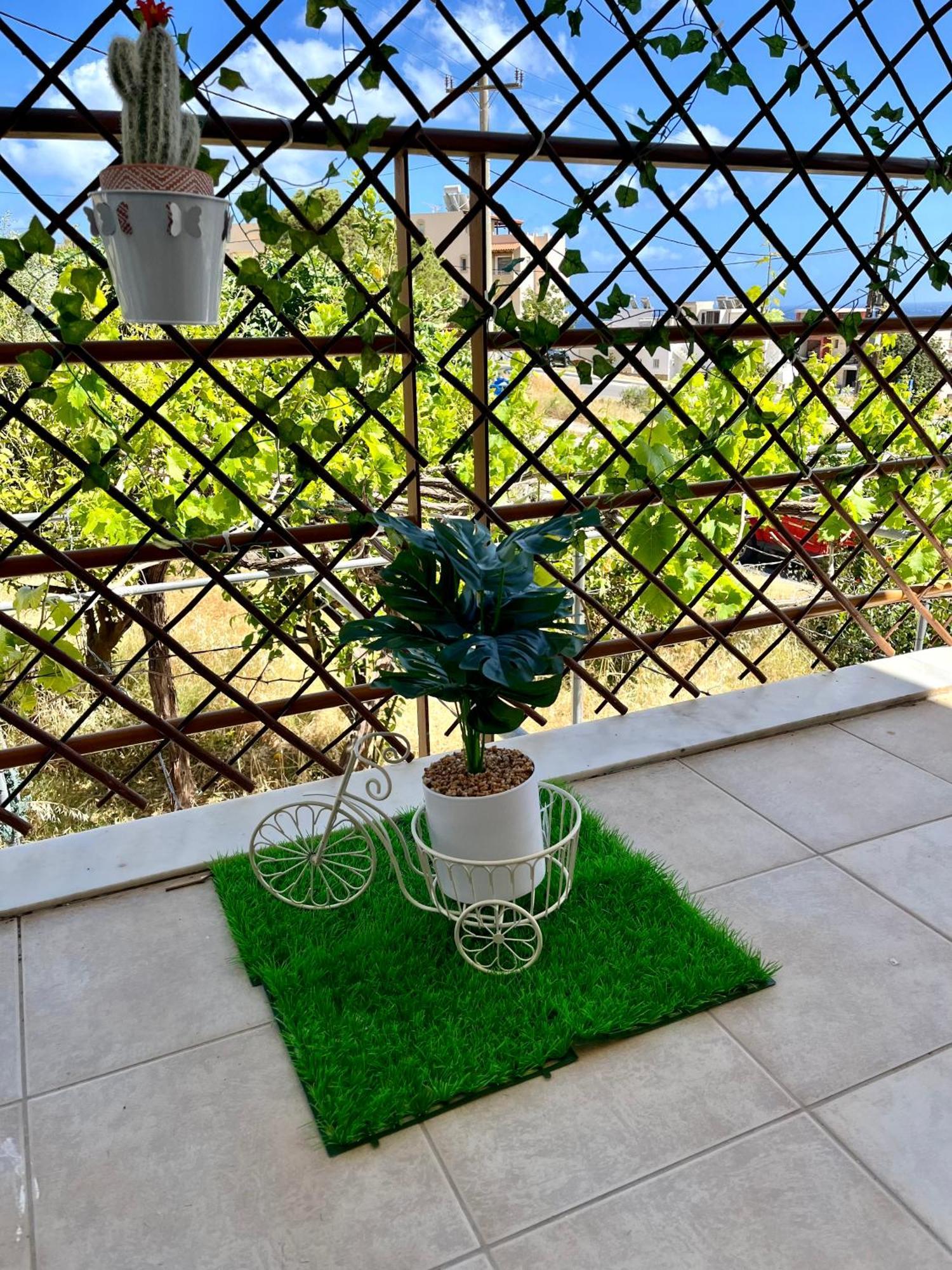 Dream Apartments Palaiochora Luaran gambar